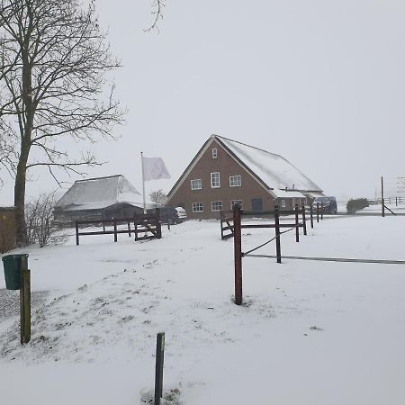 Apartamento Landelijk Gelegen Boerderij Aan De Pothofweg Anevelde Exterior foto
