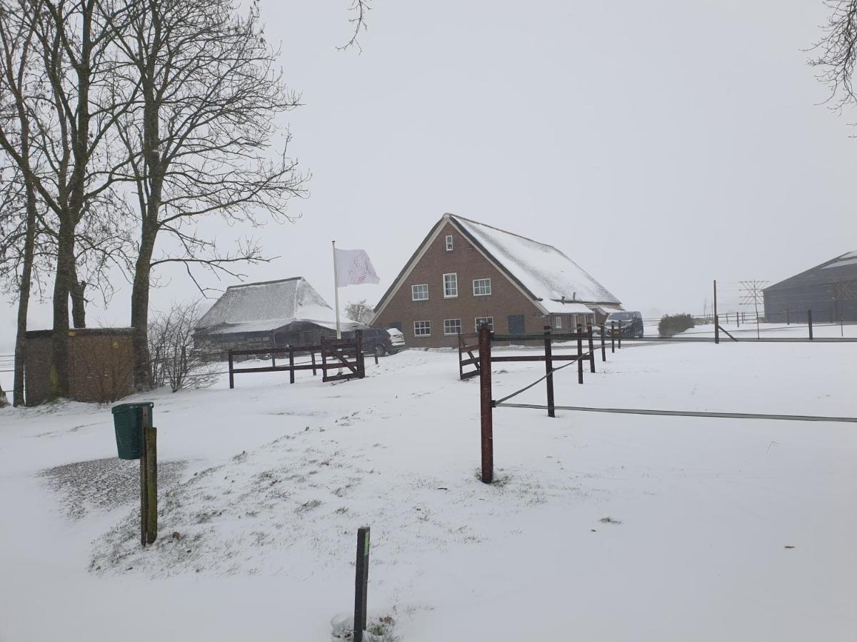 Apartamento Landelijk Gelegen Boerderij Aan De Pothofweg Anevelde Exterior foto